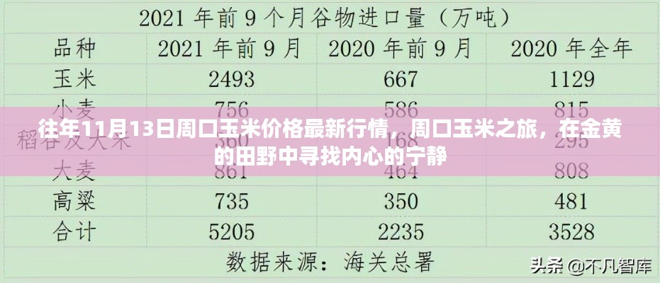 往年11月13日周口玉米價格更新，田野探索與內(nèi)心寧靜之旅