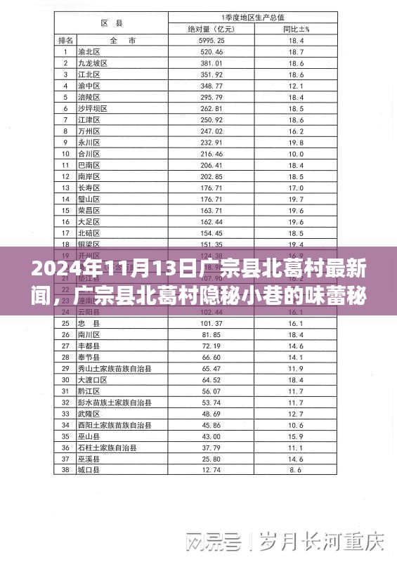 廣宗縣北葛村隱秘小巷的美食秘境，最新探秘之旅（2024年11月13日）