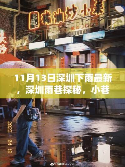 深圳雨巷探秘，美味驚喜與雨中的小巷風(fēng)情