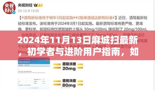 麻城掃最新技能指南，初學者與進階用戶如何掌握