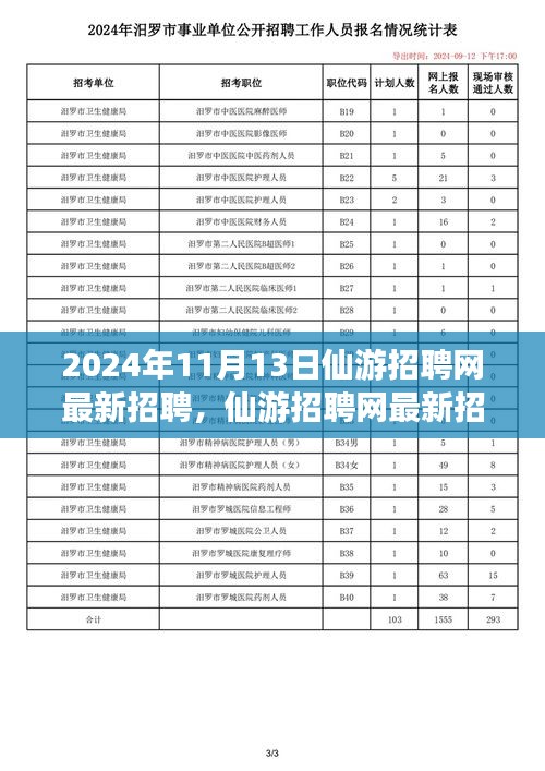 2024年11月13日仙游招聘網(wǎng)最新動態(tài)，聚焦人才市場熱點