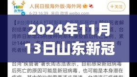 山東新冠疫情最新報(bào)告，多維視角下的深度分析（2024年11月13日）