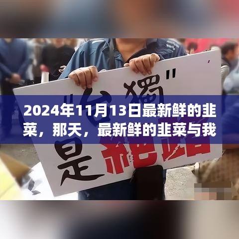 新鮮韭菜與溫馨故事，2024年11月13日的邂逅