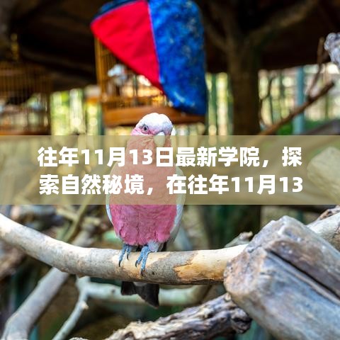 往年11月13日學院探索自然秘境之旅，追尋內(nèi)心的寧靜與笑聲