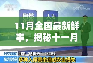 揭秘十一月全國新鮮事，熱點聚焦與科普解讀