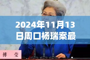 楊瑞案背后的故事，變化的力量與自信的重生最新進(jìn)展，周口楊瑞案深度剖析（2024年11月13日）