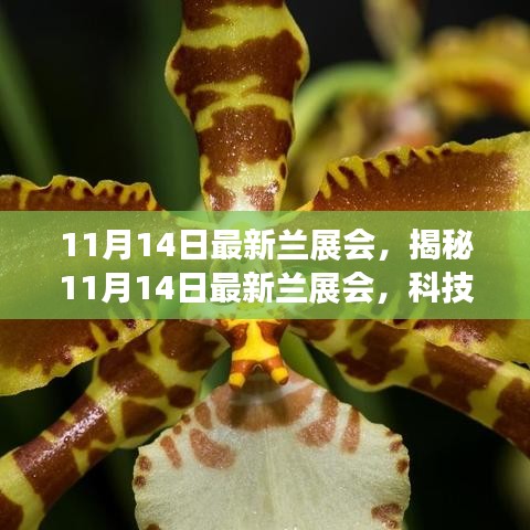 揭秘最新蘭展會，科技革新引領(lǐng)未來生活風(fēng)采展盛大開幕