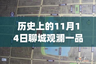 聊城觀瀾一品揭秘之旅，11月14日最新動(dòng)態(tài)探秘隱藏小巷