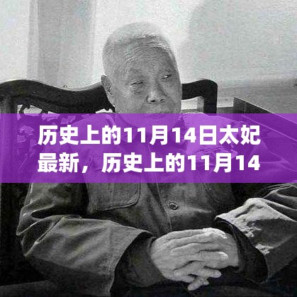 歷史上的11月14日太妃傳奇，最新解讀與影響全解析