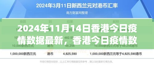 2024年11月14日香港疫情數(shù)據(jù)報告，最新分析與觀察思考