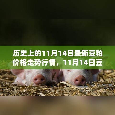 歷史上的豆粕價(jià)格走勢分析，回顧與預(yù)測