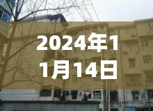 洛寧二手房最新信息探索，巷弄之韻與隱藏的小巷故事（最新信息門戶）