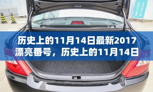 歷史上的11月14日最新2017漂亮番號，歷史上的11月14日，探尋那些閃耀的瞬間與美好記憶??