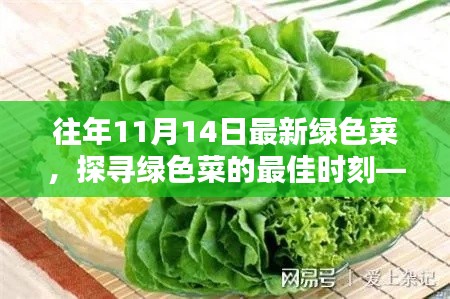 探尋綠色菜的最佳時(shí)刻，以往年11月14日為例的蔬菜盛宴