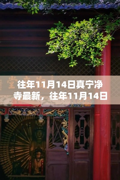 往年11月14日真寧凈寺探訪攻略，領略古寺魅力，最新指南全解析