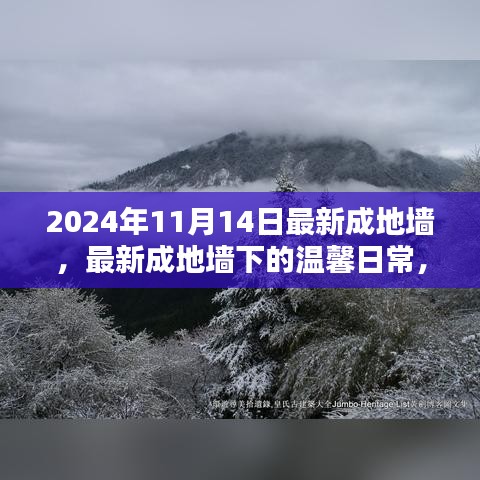 最新成地墻下的溫馨日常，友誼與愛(ài)共筑美好家園的2024年1月記事