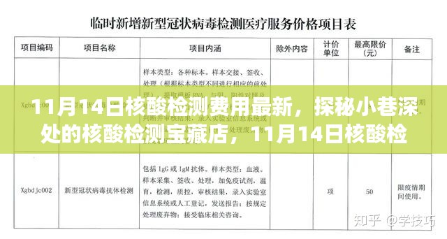 探秘核酸檢測寶藏店，揭秘最新核酸檢測費用新鮮事（11月14日更新）