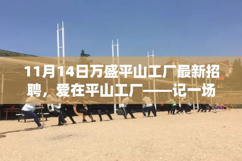 愛在平山工廠，最新招聘與求職之旅啟程