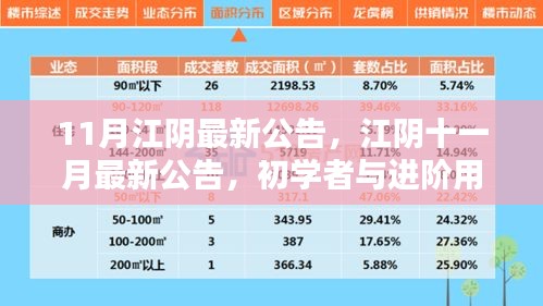 江陰十一月最新公告發(fā)布，初學(xué)者與進(jìn)階用戶指南詳解