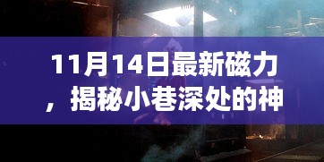 揭秘神秘寶藏，11月14日最新磁力小巷小店探秘之旅