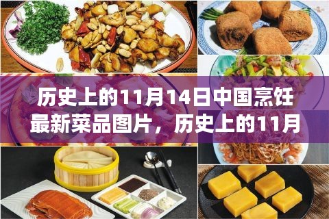 11月14日中國烹飪新菜品圖片展示，歷史菜品深度評測與介紹