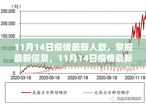 11月14日疫情最新人數(shù)查詢指南，掌握最新信息