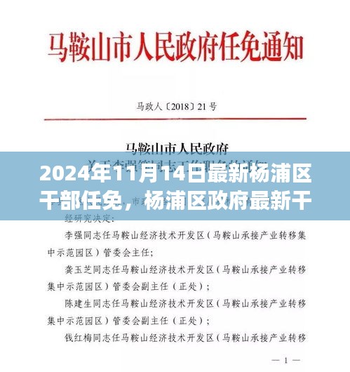 楊浦區(qū)政府最新干部任免動態(tài)，聚焦新任干部及未來展望（更新至2024年）