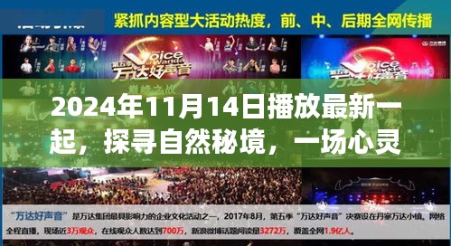 探尋自然秘境，心靈之旅啟程于2024年11月14日