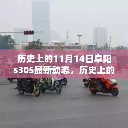 歷史上的11月14日阜陽S305最新動(dòng)態(tài)深度解析，聚焦三大要點(diǎn)揭秘最新進(jìn)展與動(dòng)態(tài)更新