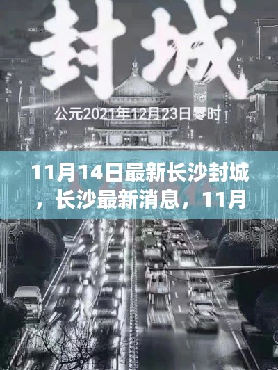 長沙封城最新消息，11月14日封城通知詳解，小紅書帶你掌握最新動態(tài)