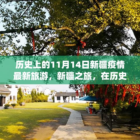 歷史的11月14日，新疆疫情最新旅游動態(tài)與心靈之旅的寧靜與奇跡探尋