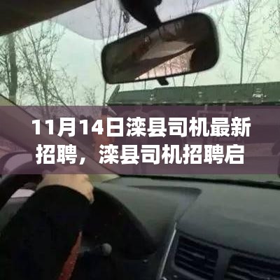 11月14日灤縣司機(jī)招聘啟事，最新職位空缺，開啟職業(yè)新征程