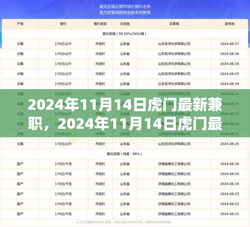 2024年11月14日虎門最新兼職，機(jī)遇與挑戰(zhàn)并存