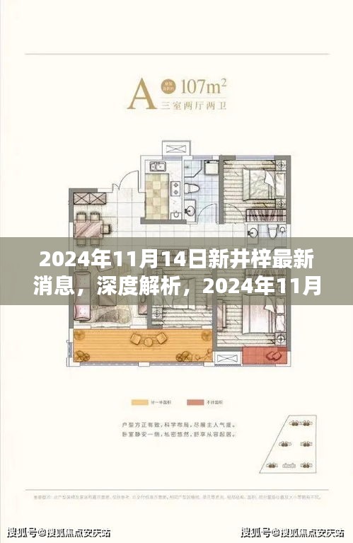 深度解析，2024年11月14日新井梓產(chǎn)品最新消息揭秘，特性、用戶體驗(yàn)與目標(biāo)用戶群體探討