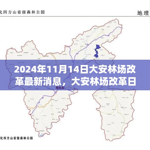 大安林場(chǎng)改革故事會(huì)，最新消息與溫馨改革之旅（2024年11月14日）