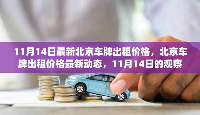 北京車牌出租價格最新動態(tài)，11月14日的觀察與解讀