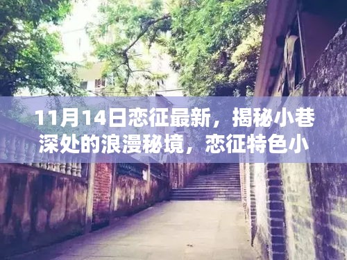 揭秘小巷深處的浪漫秘境，戀征特色小店的最新篇章（11月14日更新）