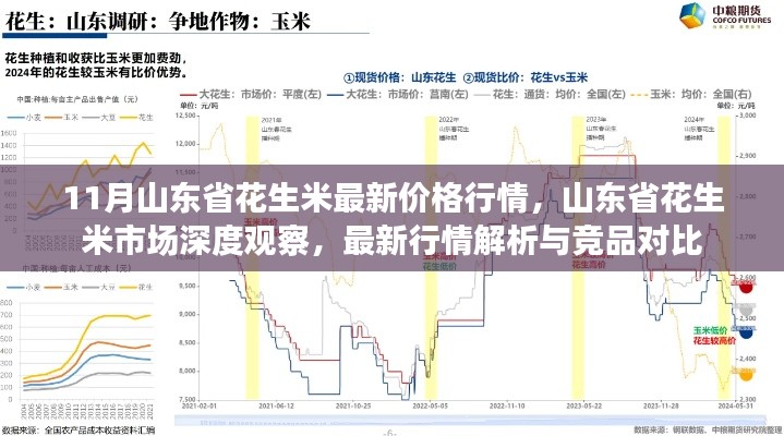 11月山東省花生米最新價格行情，山東省花生米市場深度觀察，最新行情解析與競品對比