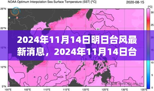 臺(tái)風(fēng)最新消息深度評(píng)測(cè)，特性、體驗(yàn)、競(jìng)品對(duì)比與用戶分析（2024年臺(tái)風(fēng)動(dòng)態(tài)）