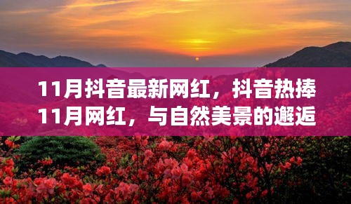 抖音熱捧的11月網(wǎng)紅，與自然美景的邂逅與內(nèi)心寧?kù)o之旅