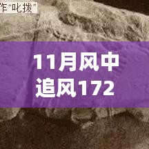 揭秘，風(fēng)中追風(fēng)最新裝備的時代地位與影響，逐風(fēng)而行，價值高達172萬裝備重磅登場！