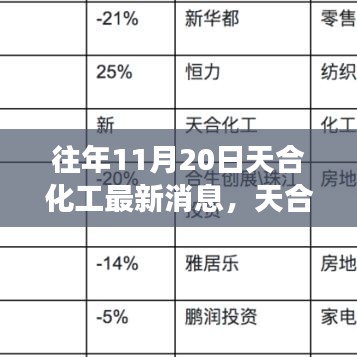 天合化工最新動態(tài)解讀，產(chǎn)品特性、用戶體驗(yàn)與目標(biāo)用戶分析揭秘