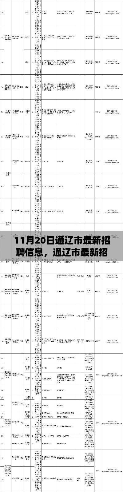 通遼市最新招聘信息概覽，職場(chǎng)人的福音（11月20日更新）