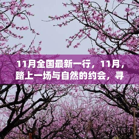 11月踏自然之旅，內(nèi)心的桃花源探尋記