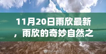 雨欣的11月20日奇妙探險，自然之旅尋找心靈寧靜與笑聲