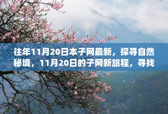 往年11月20日本子網最新，探尋自然秘境，11月20日的子網新旅程，尋找內心的桃花源