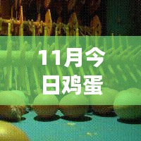 11月雞蛋價(jià)格最新行情解析，多方觀點(diǎn)交織的思考