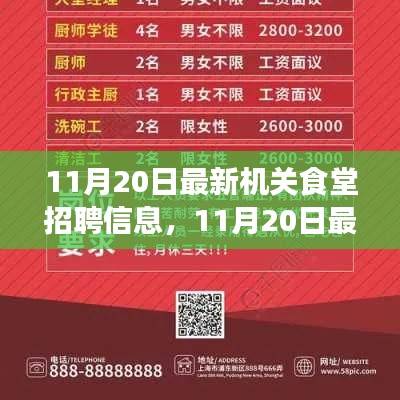 最新機關(guān)食堂招聘信息詳解，11月20日發(fā)布的全解析報告