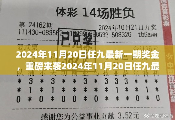 揭秘2024年11月20日任九最新一期獎金揭曉，財(cái)富密碼大解密！