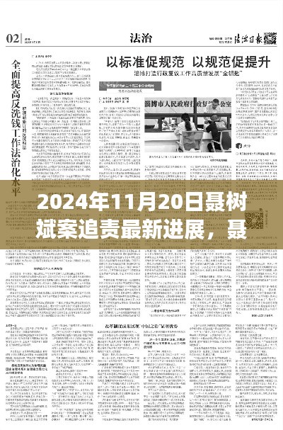 聶樹斌案追責(zé)最新進(jìn)展深度解析，2024年11月20日追責(zé)進(jìn)展及評(píng)測(cè)